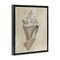 Stupell Industries Tan Toned Conch Shell Floating Frame By Michael Willett